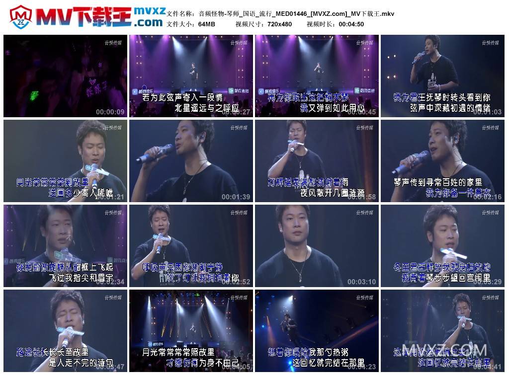 音频怪物-琴师_国语_流行_MED01446